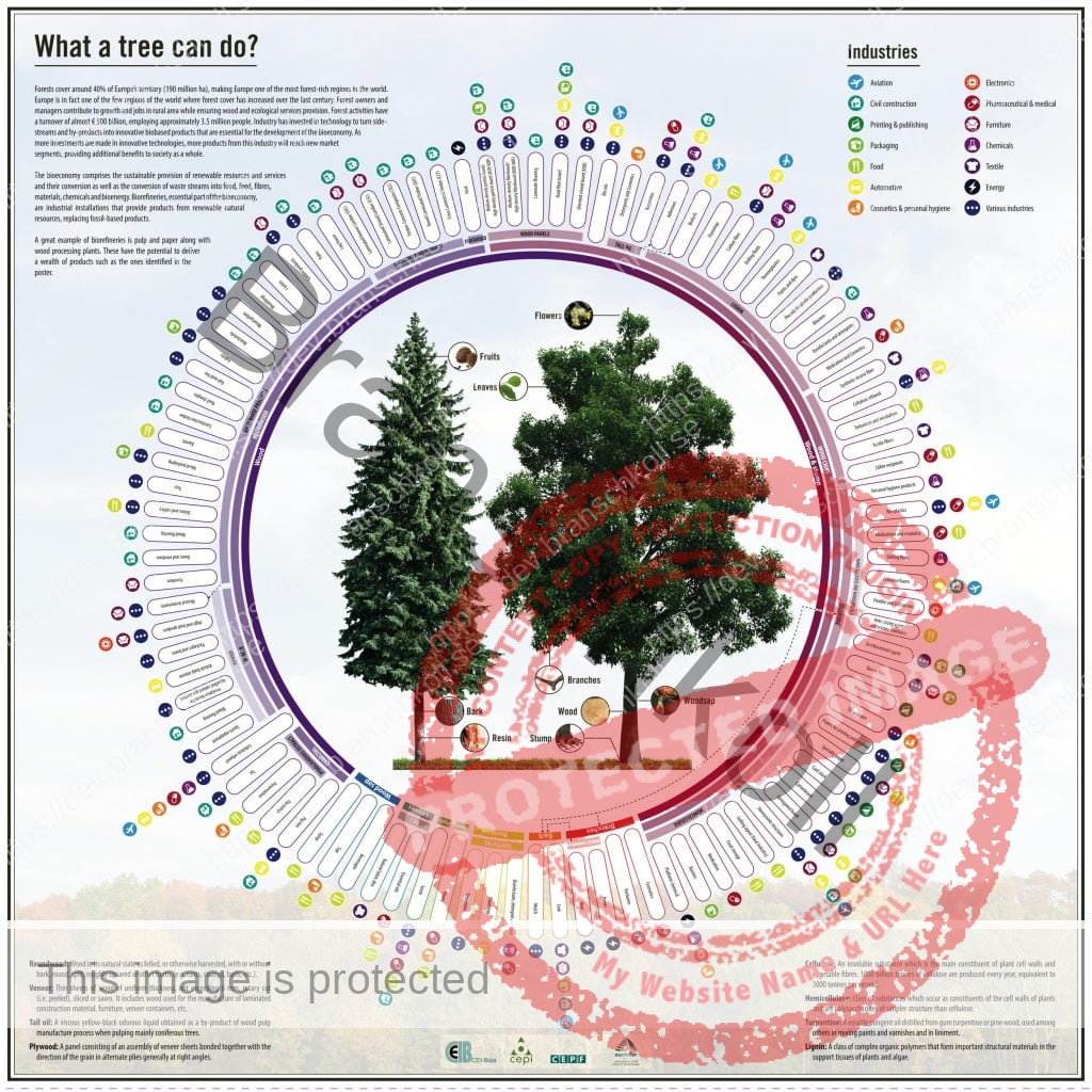 what a tree can do poster only